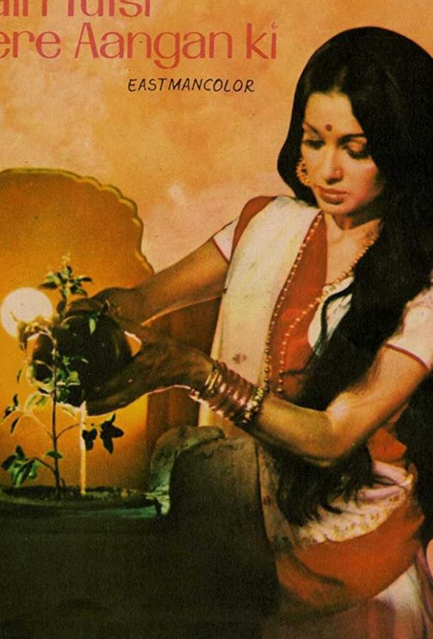 Постер к Внебрачный сын (1978)