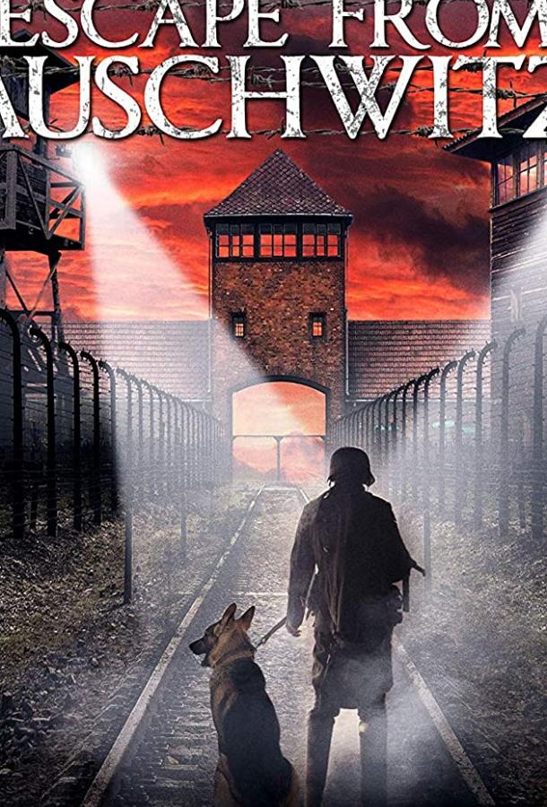 Постер к Побег из Освенцима (2020)