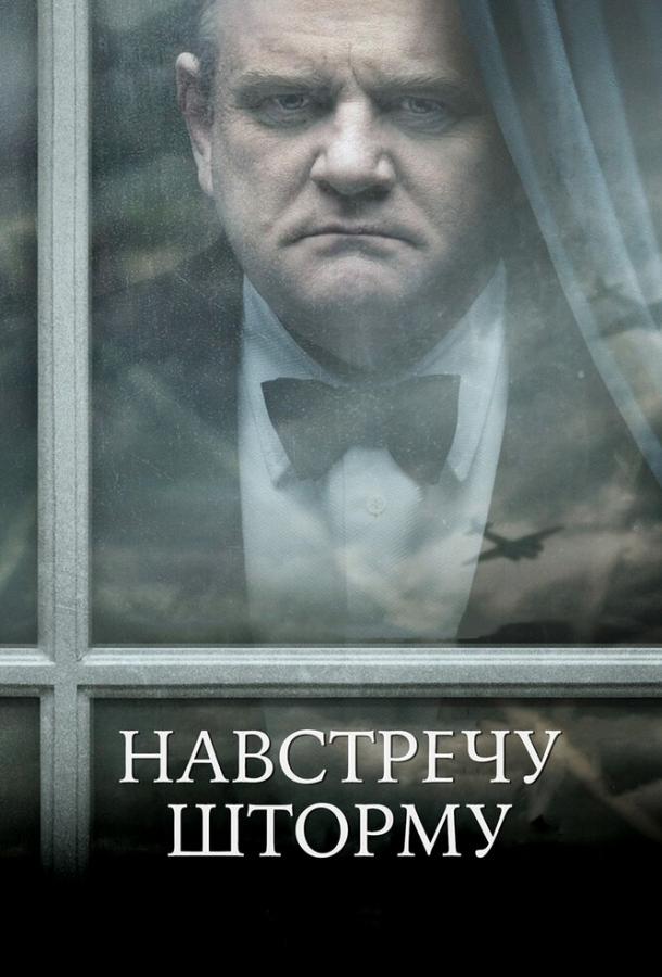 Постер к Навстречу шторму (2009)