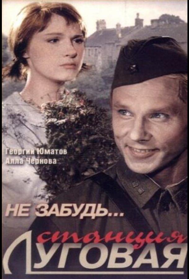 Постер к Не забудь... станция Луговая (1966)