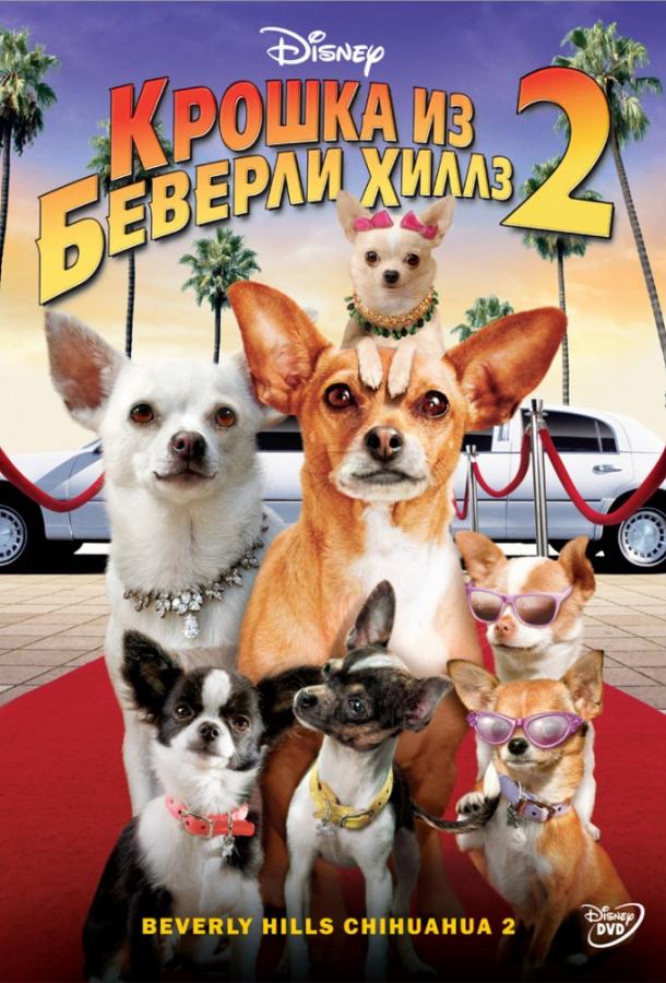 Постер к Крошка из Беверли-Хиллз 2 (2011)