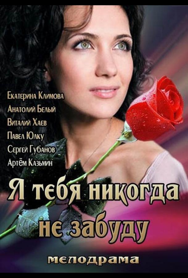 Постер к Я тебя никогда не забуду (2013)