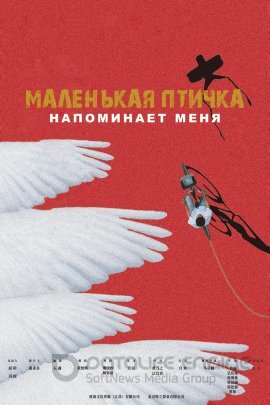 Постер к Маленькая птичка напоминает меня (2020)